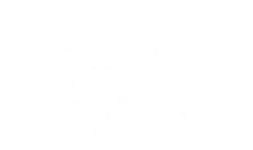 Anonymous Executive Search